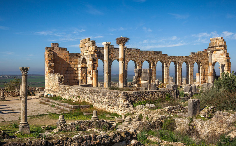 1 full day trip from Fes to Volubilis & Meknes