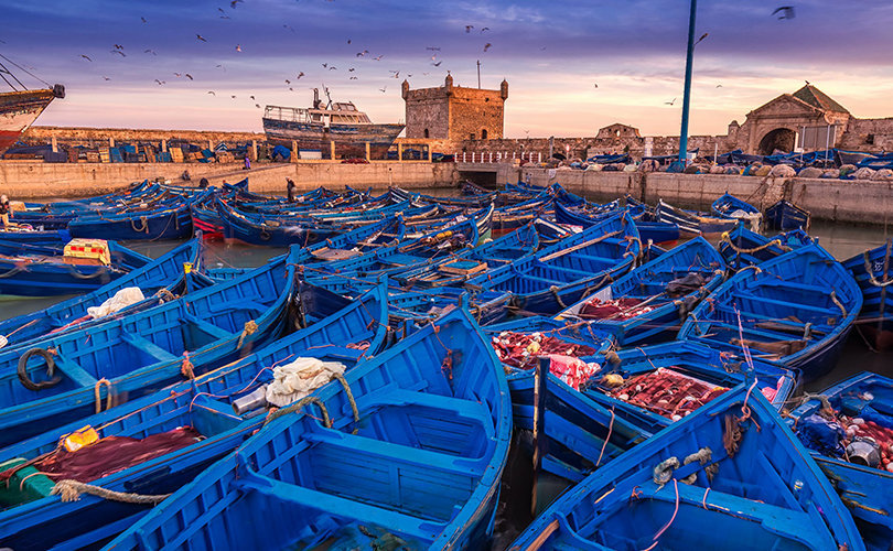 1 full day trip from Marrakech to Essaouira