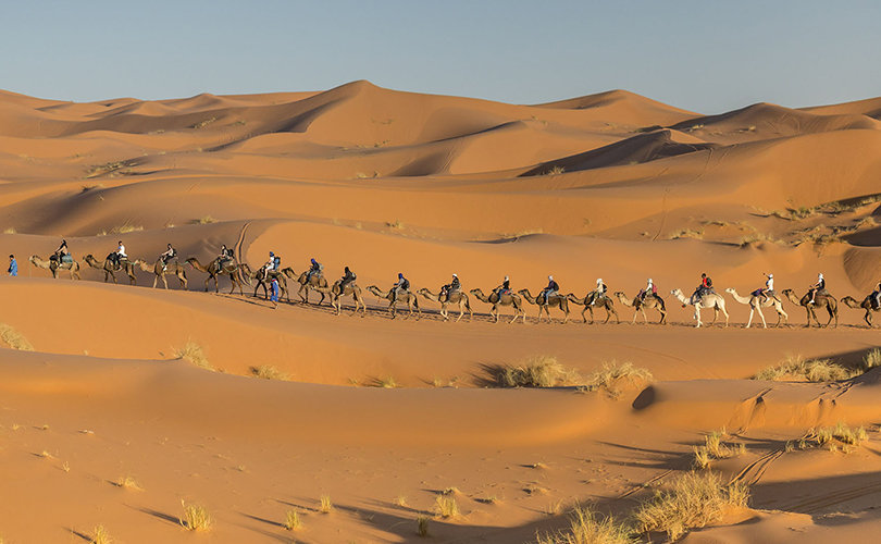 3 Days desert tour departing from Marrakech