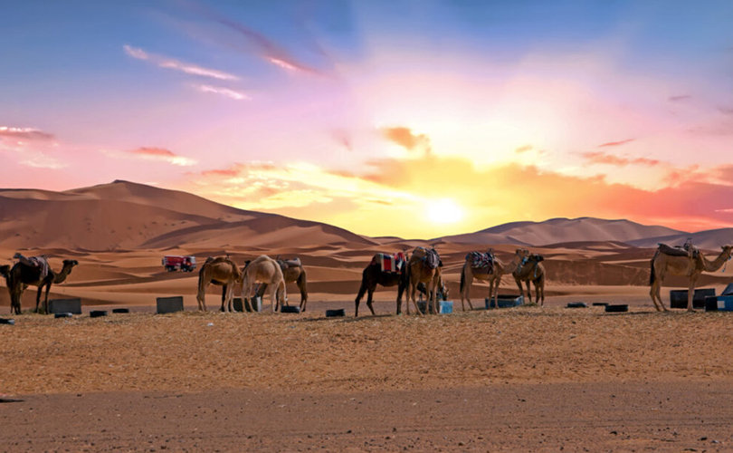 5-days desert tour departing from Marrakech and ending in Marrakech